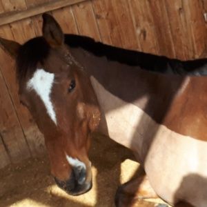 Meet your Posher, Jessica